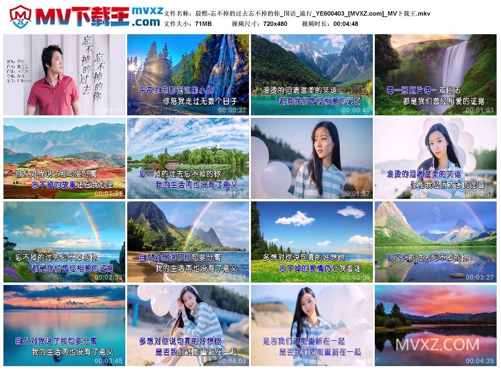 晨熙-忘不掉的过去忘不掉的你_国语_流行_YE600403